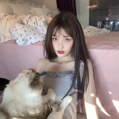 肥猫寻亲记